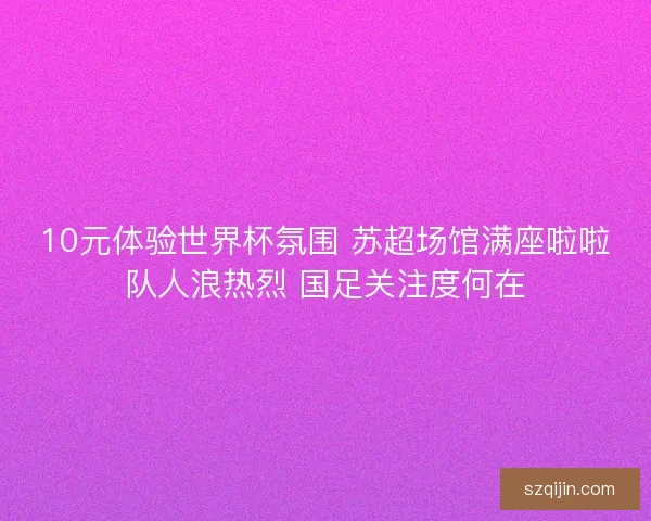 10元体验世界杯氛围 苏超场馆满座啦啦队人浪热烈 国足关注度何在