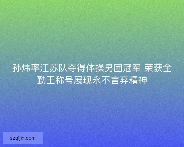 孙炜率江苏队夺得体操男团冠军 荣获全勤王称号展现永不言弃精神